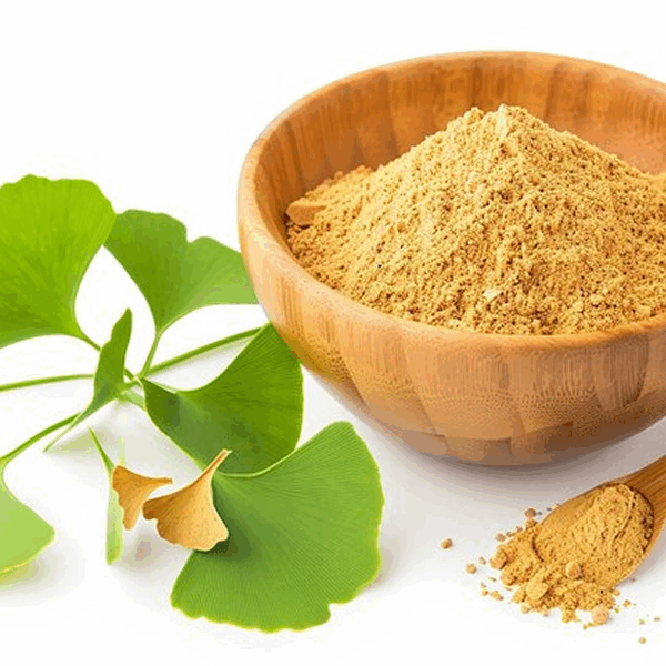 Ginkgo Biloba Extract