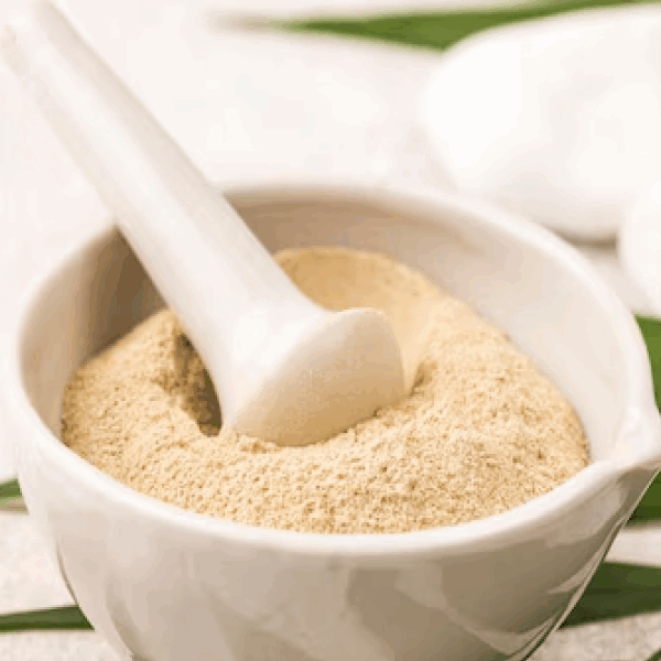 Lion's Mane Mushroom Extract